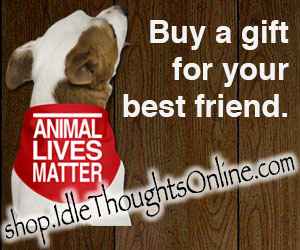 Buy a gift for your best friend.